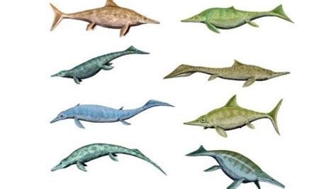 why did ichthyosaurs go extinct.